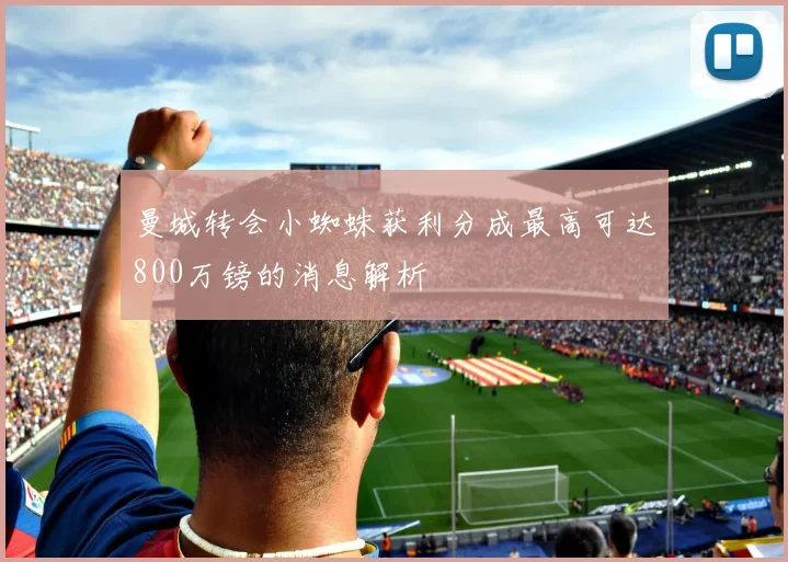 曼城转会小蜘蛛获利分成最高可达800万镑的消息解析