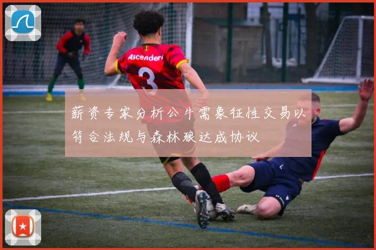 薪资专家分析公牛需象征性交易以符合法规与森林狼达成协议