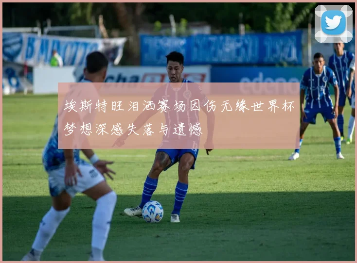 埃斯特旺泪洒赛场因伤无缘世界杯梦想深感失落与遗憾